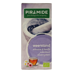 Piramide Weerstand thee eko bio 20.00 Zakjes