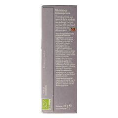 Piramide Weerstand thee eko bio 20.00 Zakjes