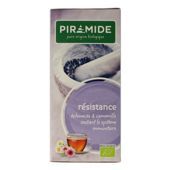 Piramide Weerstand thee eko bio 20.00 Zakjes