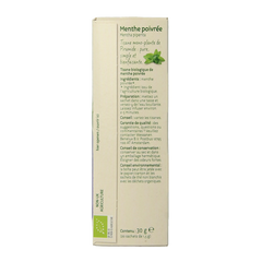 Piramide Pepermunt thee eko bio 20 Zakjes