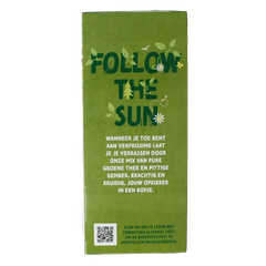 Zonnatura Groene thee gember bio 20 Zakjes