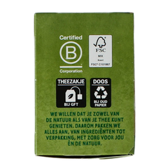 Zonnatura Groene thee gember bio 20 Zakjes