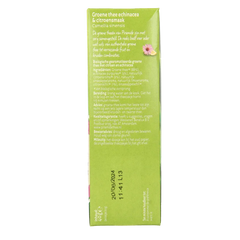 Piramide Verfrissend groene thee citroen & echinacea bio 20 Zakjes