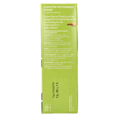 Piramide Verwarmend groene thee sinaasappel & kaneel bio 20 Zakjes