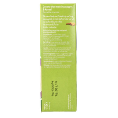 Piramide Verwarmend groene thee sinaasappel & kaneel bio 20 Zakjes