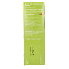 Piramide Verwarmend groene thee sinaasappel & kaneel bio 20.00 Zakjes