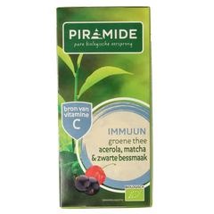 Piramide Immuun groene thee acerola matcha & zwarte bes bio 20 Zakjes