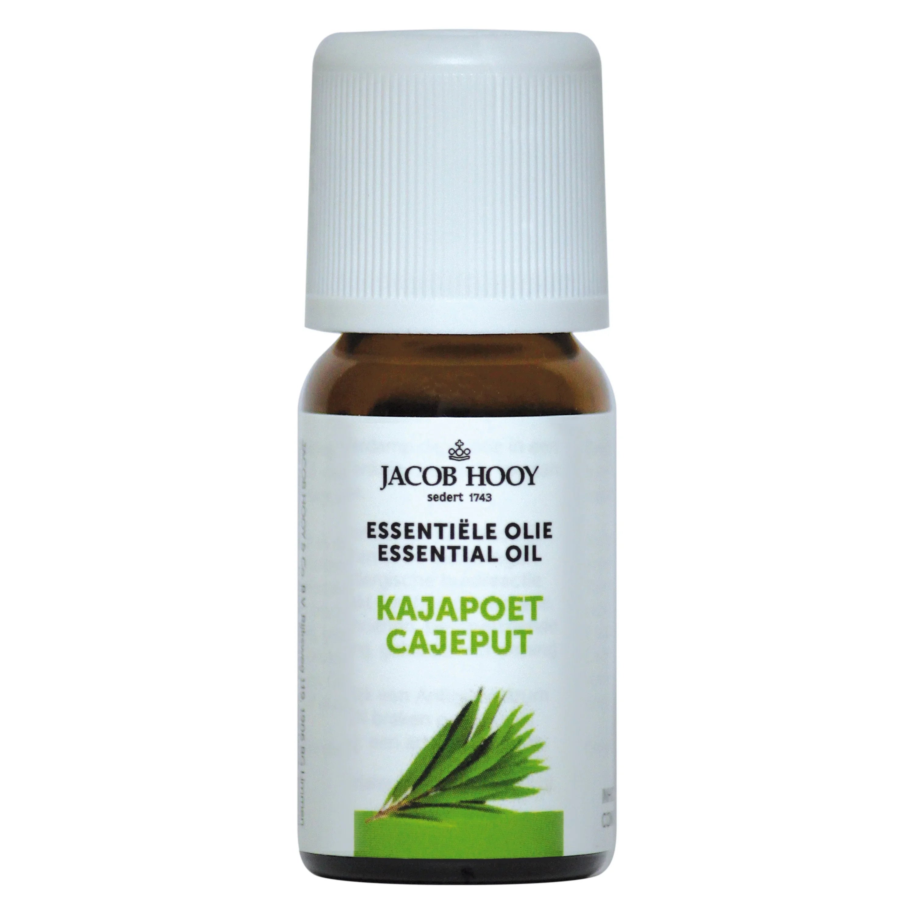 Jacob Hooy Kajapoet olie 10 Milliliter