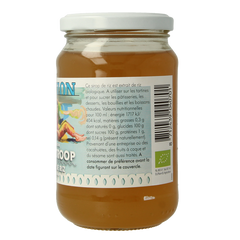 Horizon Rijststroop eko bio 450 Gram