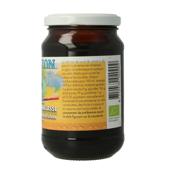 Horizon Rietsuikermelasse eko bio 450.00 Gram