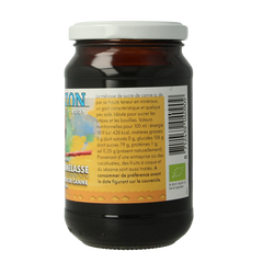 Horizon Rietsuikermelasse eko bio 450 Gram