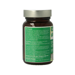 RIO Gogo guarana 500mg 10 dagen 20 Capsules