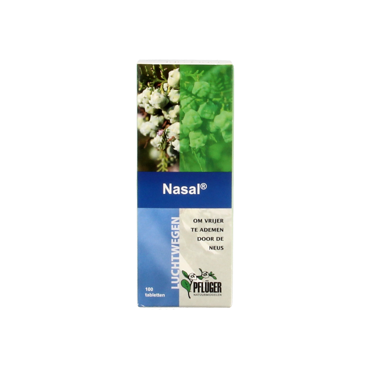 Pflüger Nasal 100.00 Tabletten