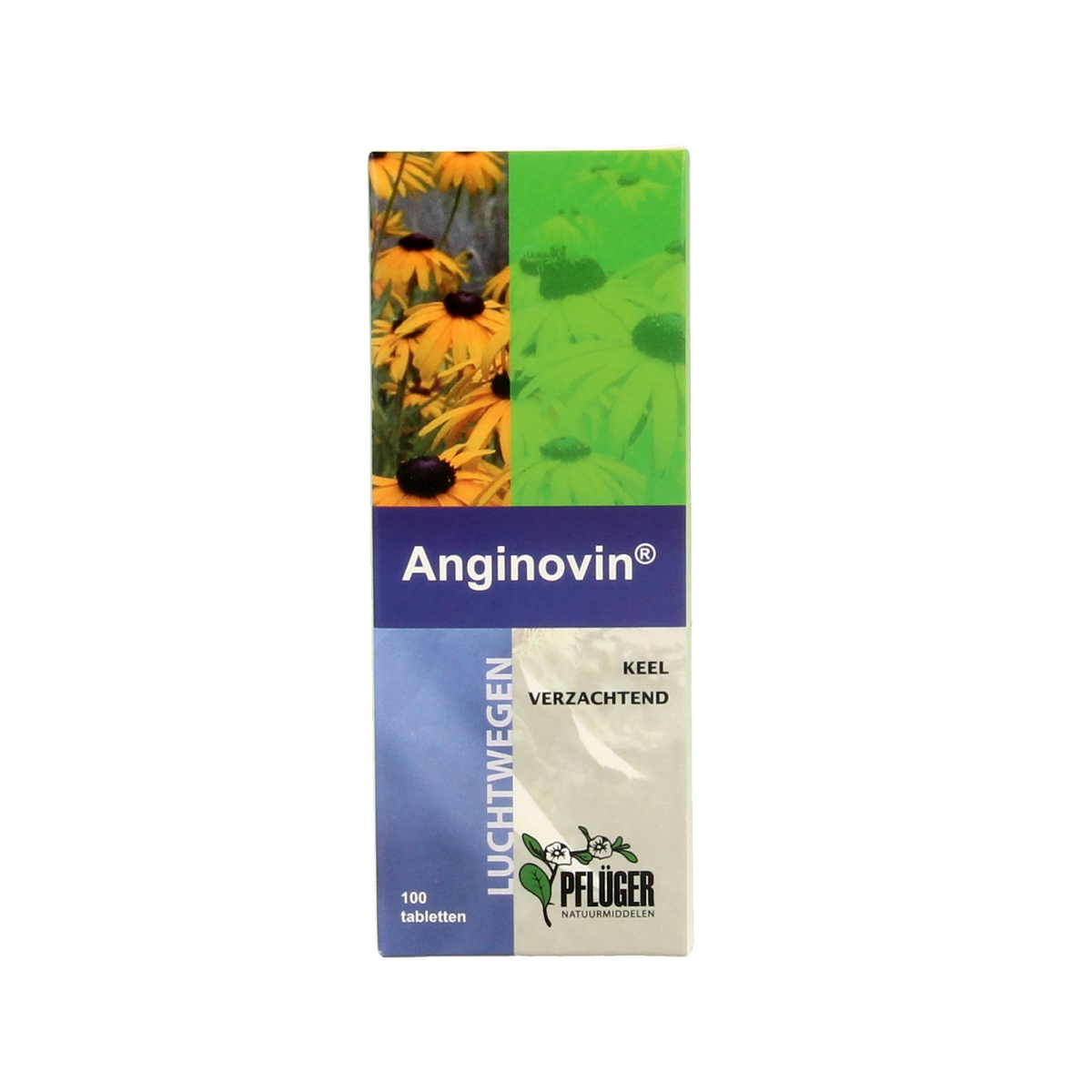 Pflüger Anginovin 100.00 Tabletten