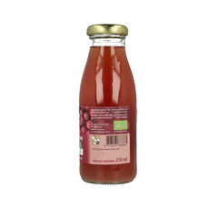 Terschellinger Appel cranberrysap bio 250 Milliliter