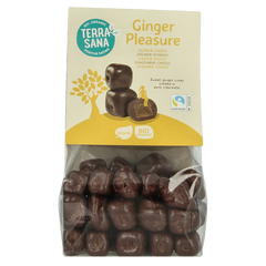 TerraSana Ginger pleasure choco bio 150 Gram