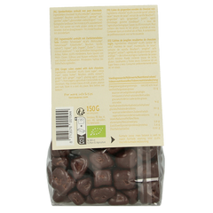 TerraSana Ginger pleasure choco bio 150 Gram