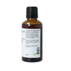 Cruydhof Ulmus campestre rubra / rode iep tinctuur 50.00 Milliliter