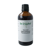 Cruydhof Aesculus hippocast/paardenkastanje tinctuur 100.00 Milliliter