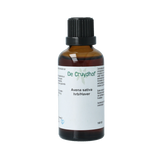 Cruydhof Avena sativa herb/haver tinctuur 50.00 Milliliter