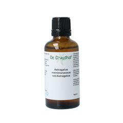 Cruydhof Astragalus membranaceus radix tinctuur 50.00 Milliliter