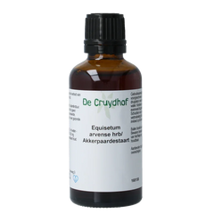Cruydhof Equisetum arvense / akkerpaardestaart tinctuur 50 Milliliter