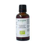 Cruydhof Cinnamomum zeyl cort / kaneel tinctuur bio 50.00 Milliliter