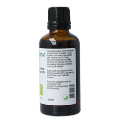 Cruydhof Olea europaea folia / olijfblad tinctuur bio 50.00 Milliliter