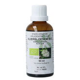 Cruydhof Sambucus nigra / gewone vlier bio 50 Milliliter