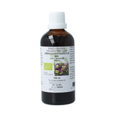 Cruydhof Viola tricolor herb / driekl viooltje tinctuur bio 100 Milliliter