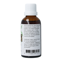 Cruydhof Zingiber officinalis rhiz/gember tinctuur bio 50.00 Milliliter