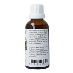 Cruydhof Zingiber officinalis rhiz/gember tinctuur bio 50 Milliliter