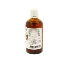 Cruydhof Zingiber officinalis rhiz/gember tinctuur bio 100 Milliliter