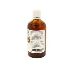 Cruydhof Zingiber officinalis rhiz/gember tinctuur bio 100 Milliliter