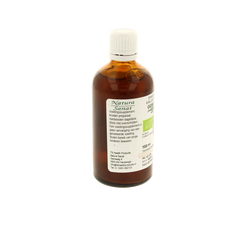 Cruydhof Zingiber officinalis rhiz/gember tinctuur bio 100.00 Milliliter