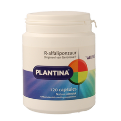 Plantina R-Alfaliponzuur natuurlijk 120.00 Capsules