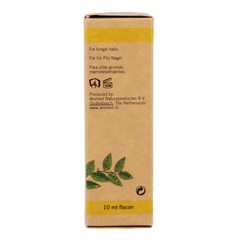 Aromed Ferula kalknagel olie 10.00 Milliliter