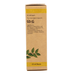 Aromed Ferula kalknagel olie 10.00 Milliliter