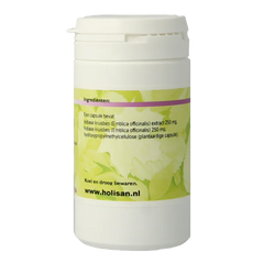 Holisan Amalaki 60 Capsules