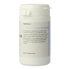 Holisan Ferro smilin 45 Vegetarische capsules