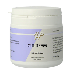Holisan Gulukam 100 Tabletten