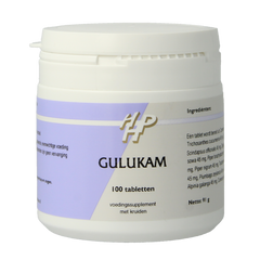 Holisan Gulukam 100.00 Tabletten