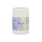 Ayurveda Shijalit plus 45 Vegetarische capsules