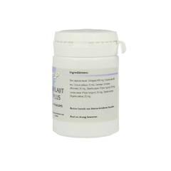 Ayurveda Shilajit plus 45 Vegetarische capsules