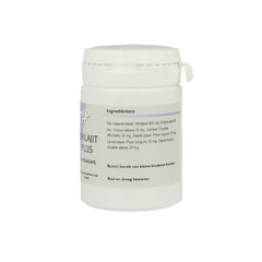 Ayurveda Shilajit plus 45 Vegetarische capsules