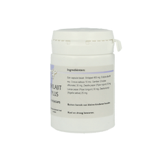 Ayurveda Shilajit plus 45.00 Vegetarische capsules