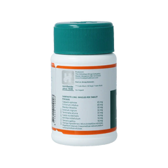 Holisan Liv 52 100 Tabletten
