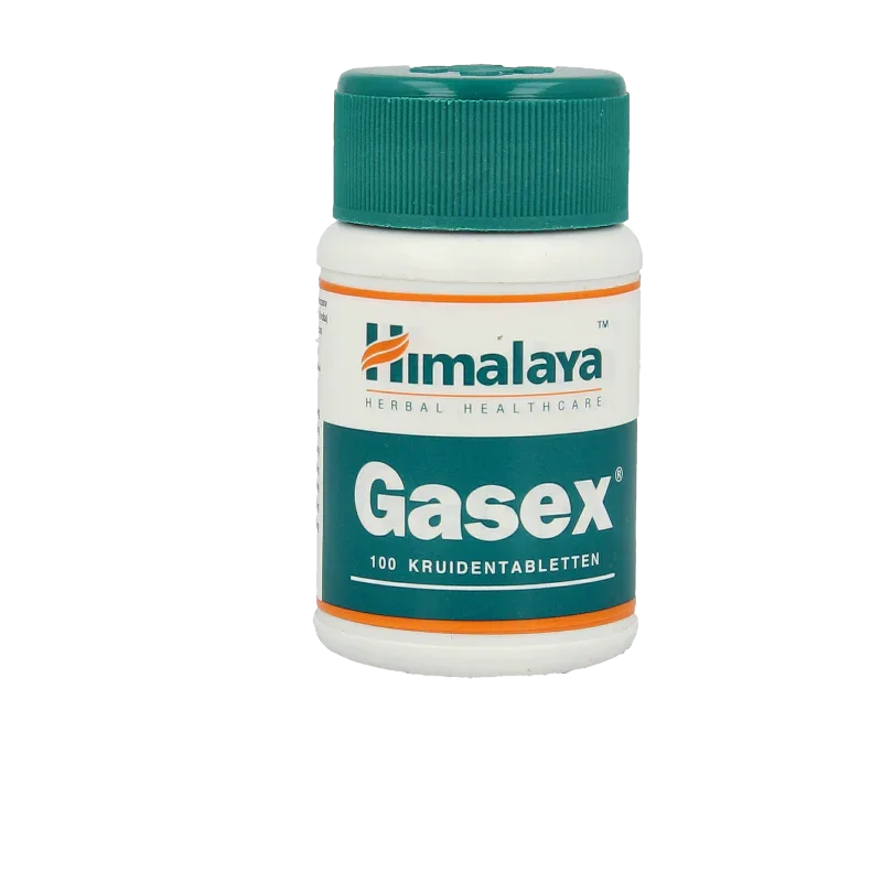 Holisan Gasex 100 Tabletten