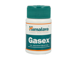 Holisan Gasex 100 Tabletten