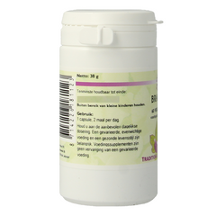 Holisan Brahmi 60.00 Capsules